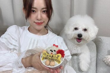 先生のお誕生日ケーキ
初めて頼んだけどすごく喜んでくれました

地味に私も楽天roomやってて（誰にもまだ教えてない笑）
そっちにどこのか載せたので気になった方...