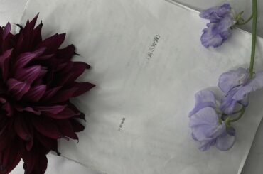 「#魔女の夜」
全公演終了致しました...！
私は舞台は今回が二作品目でして、この”全て終わった後の感覚”に全く慣れていないもので、ちょいとばかり長文、...