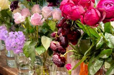 可愛いお花たち
みなさんも、お花生活はじめましょう

#お花屋さん巡り
#お花のある暮らし 
#お花好きな人と繋がりたい 
#flowerstagram...