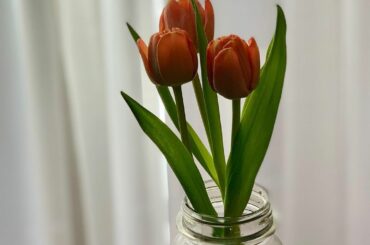 _

かわいい

#花のある暮らし
#チューリップ
#tulip#spring...