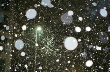 2019︎ #hikarufilms...