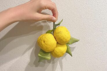 ‪‪︎‬
秋ぐらいから柚子茶飲み始めて
もう柚子茶の瓶が4つ目になりました𓈒 𓂂𓏸

代謝を上げてくれたり風邪予防効果があったり
ママは肌が綺麗になっ...