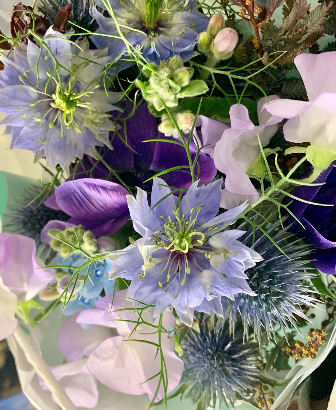 黒崎レイナ 一目惚れした花 ニゲラ 素敵 下にある棘のある花の名前がわからない なんだろう これも好き Moe Zine 黒崎レイナ 一目惚れした花 ニゲラ 素敵 下にある棘のある花の名前がわからない なんだろう これも好き Moe Zine