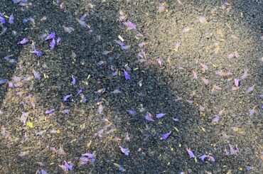 Sabían que estoy aquí? ...