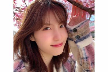 家族で出かけてたらもう桜咲いてた
3月もよろしくです〜...