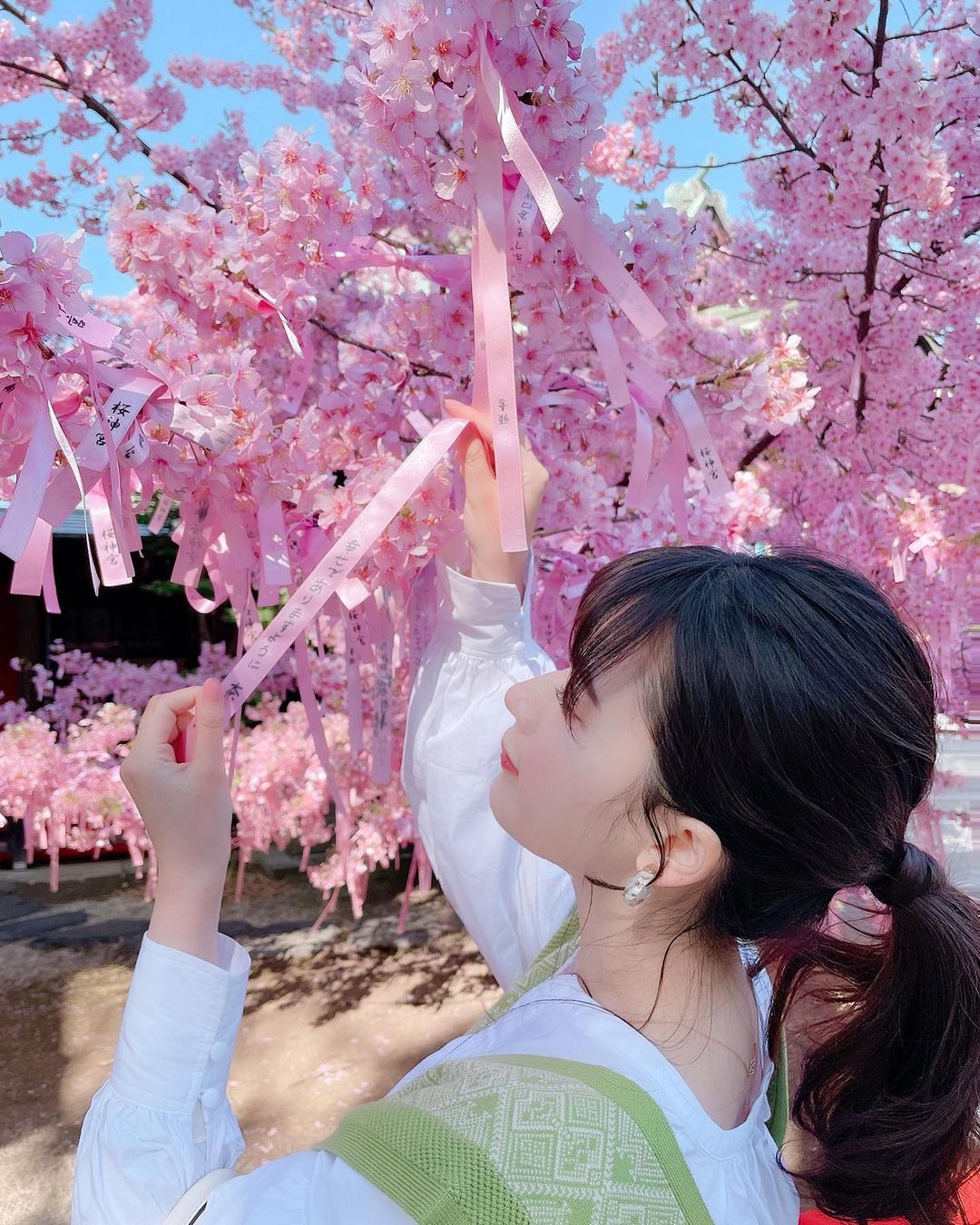 伊藤奈月 3月 先週 桜神宮の河津桜が 立派に満開でした 花帯と言われる ピンクのリボンに 願いを書いて この えんむすびの木 と言われてい Moe Zine