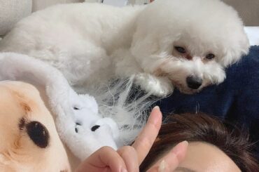 なんか渋滞してる笑...