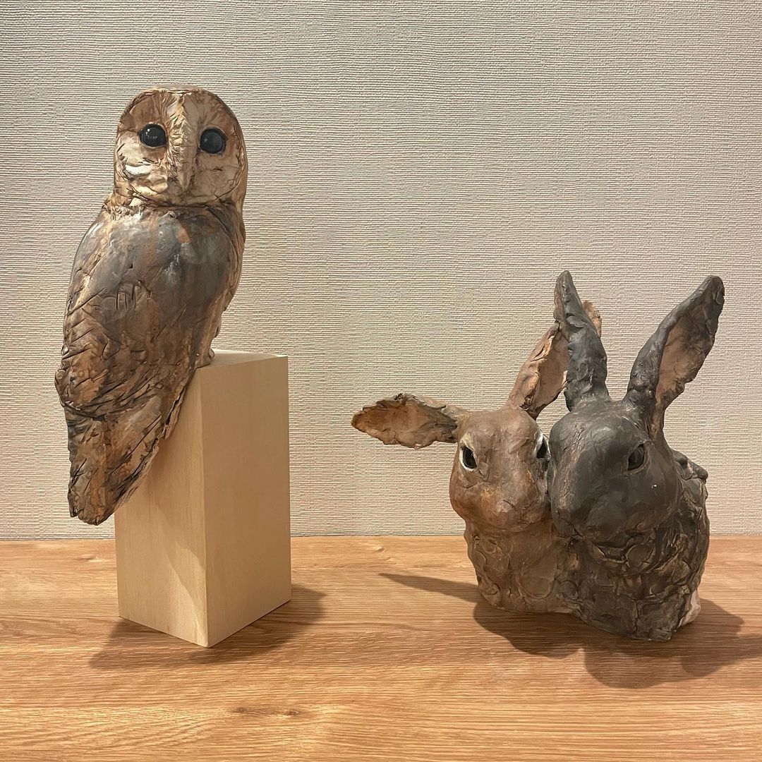 小島瑠璃子 メンフクロウ By Yu Seto1222 遂にお家にフクロウが 瀬戸さんのインスタをみて メンフクロウ可愛いなーと ずっと憧れていました フクロ Moe Zine