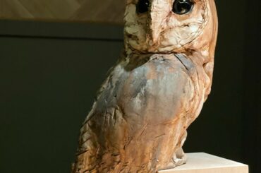 メンフクロウ
by: @yu_seto1222 

遂にお家にフクロウが
瀬戸さんのインスタをみて
メンフクロウ可愛いなーと
ずっと憧れていました
フクロ...