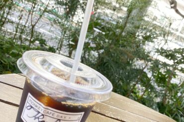 ＊﻿
少しお散歩していたらぽかぽかしてきたので﻿
アイスコーヒーを買ってテラス席で飲んでいたのですが﻿
結局すぐに肌寒くなってまた歩き出しました　﻿
﻿
最近の...