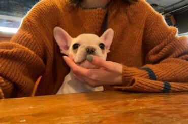 癒し時間~

with @le_tournesol10...