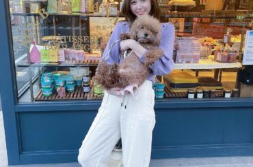 クッキー似てる？...