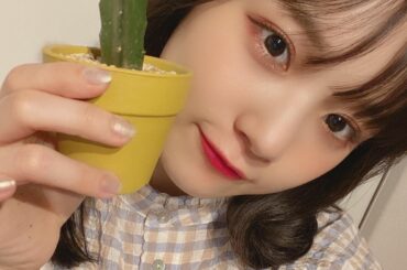 
﻿
かわいすぎるサボテン﻿
﻿
﻿
#juicejuice #稲場愛香 #まなかん #アイドル #idol ﻿
#動画で可愛いなと思ってたら次の日に出会った...