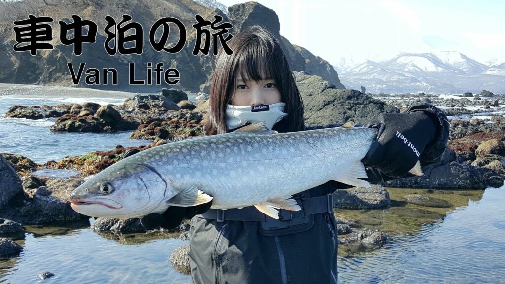 アメマス Moe Zine