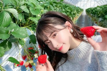 
﻿
﻿
#いちご狩り  #いちご狩り...