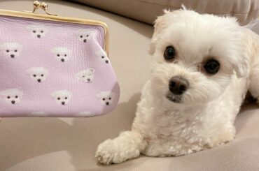 あめあめあめあめ...