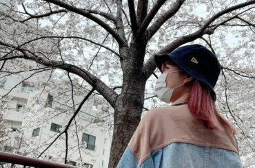 お仕事合間に桜並木を通りました
雨でちょっと散っちゃってたけどきれいだった...