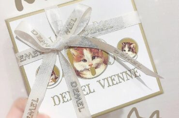 ‪‪︎‬﻿
﻿
頂いた可愛いチョコレート﻿
大切に食べました！﻿
﻿
#猫 #可愛い #チョコレート #ナッツ  #美味しい  #スイーツ #demelvie...