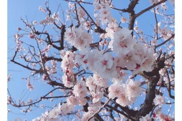 ㅤㅤㅤㅤㅤㅤㅤㅤㅤㅤㅤㅤㅤㅤㅤㅤㅤㅤㅤㅤㅤㅤㅤㅤㅤㅤㅤㅤㅤㅤㅤㅤㅤㅤㅤㅤㅤㅤㅤ

ㅤㅤㅤㅤㅤㅤㅤㅤㅤㅤㅤㅤㅤㅤㅤㅤㅤㅤㅤㅤㅤㅤㅤㅤㅤㅤㅤㅤㅤㅤㅤㅤㅤㅤㅤㅤㅤㅤㅤ...