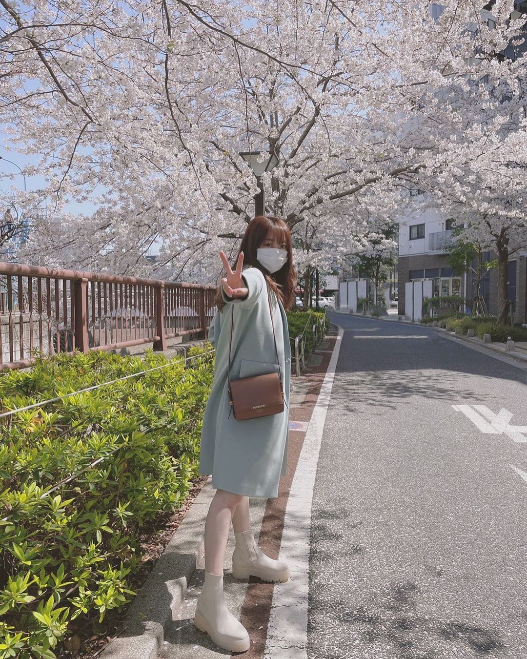 峯岸みなみ 今年は仕事の合間に満開の桜が見れました これだけ綺麗だと立ち止まりたくなってしまうよな と思いながらも グッと堪えて歩きながらの鑑賞 またみんなでゆっくりお花見 Moe Zine