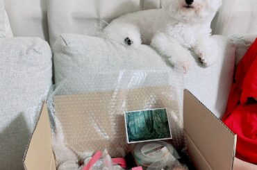 サンカラのアフタヌーンティーセットが美味しくて幸せな気分になる

ホテルでパンが美味しくて買って帰ったりした思い出が昨日のよう

ありがとうございます
屋久島今...