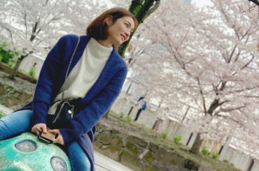 *

#桜...