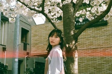 久しぶりのフィルムカメラ
路地裏で見つけた桜がとっても綺麗だったなぁ。
ちょうど一週間前の話

今日で2020年度の終わりですね。
皆さん元気に過ごしておられま...