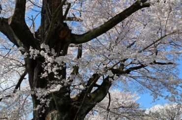 この春で、 #新生活 始まる皆さん*ﾟ
私もseventeen専属モデルを卒業し、今後はもっともっと成長して 自信を持っていけるように頑張りたい、と思っていま...