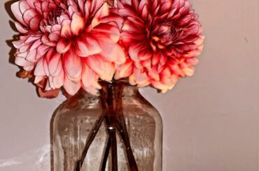 我愛花︎: 大麗花
.
.
.
#天木フラワー
#花
#flowers 
#flower
#ドライフラワー
#大麗花...