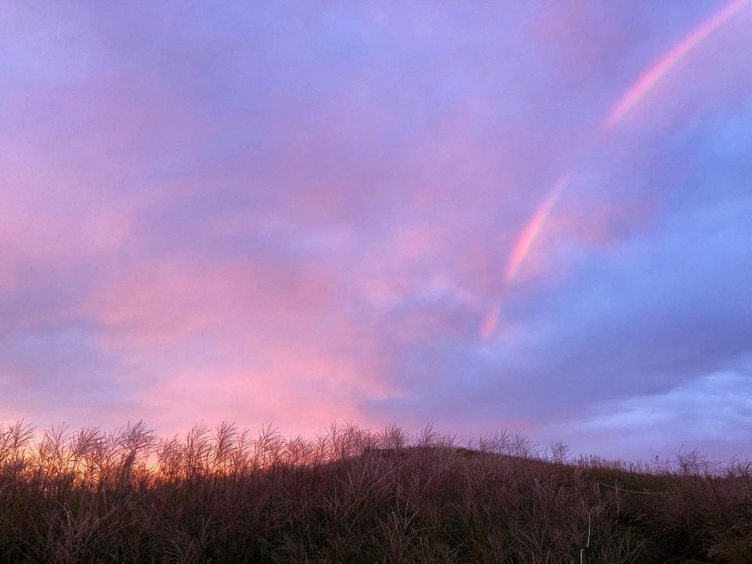 松田紗和 いつも応援してくださっている皆様へ 芸能の世界を引退いたしました。 20歳からという少し遅めのスタートで、 3年間という短い間