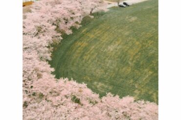 フォトグラファーの @kamiiisaka さんが撮影してくださった @nasufarmvillage 
私もここで迎える春が初めてだったのですが、それはもう言...