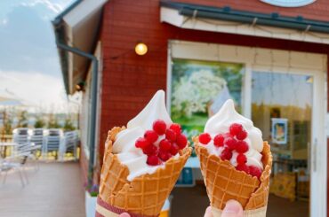 .
初めて食べたエルダーフラワーのソフトクリーム。
蜂蜜みたいな甘さで美味しかった

お花がいっぱいで空も綺麗で、たくさん歩き回って
素敵な写真が撮れた日だか...