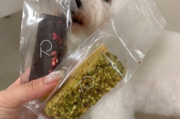 亮大先生から誕生日に
リップ送る送る詐欺してるのでほんとにすぐ送ります笑

今回はいつも買えないティラミスも入ってて1人でこそこそ食べてる（あげろよ笑）

新メ...