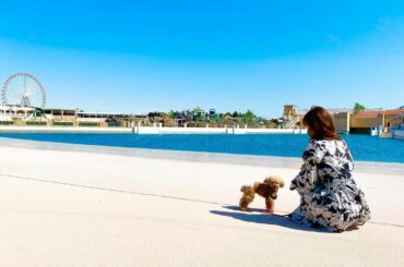 といっしょにいける遊園地
#ラグーナテンボス 
シェリ、遊園地デビューしました
と一緒に生活してる方には
ほんっとにおすすめのスポット
愛犬と基本的に園内はどこ...
