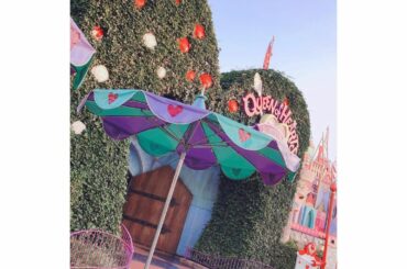 ㅤㅤㅤㅤㅤㅤㅤㅤㅤㅤㅤㅤㅤㅤㅤㅤㅤㅤㅤㅤㅤㅤㅤㅤㅤㅤㅤㅤㅤㅤㅤㅤㅤㅤㅤㅤㅤㅤㅤ
そういえば、
アリスのティーパーティーを
もう一年以上回して無い事に
気がつきま...