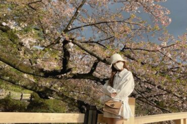 背景が綺麗すぎる

#桜 #sakura #cherryblossom 
#spring...