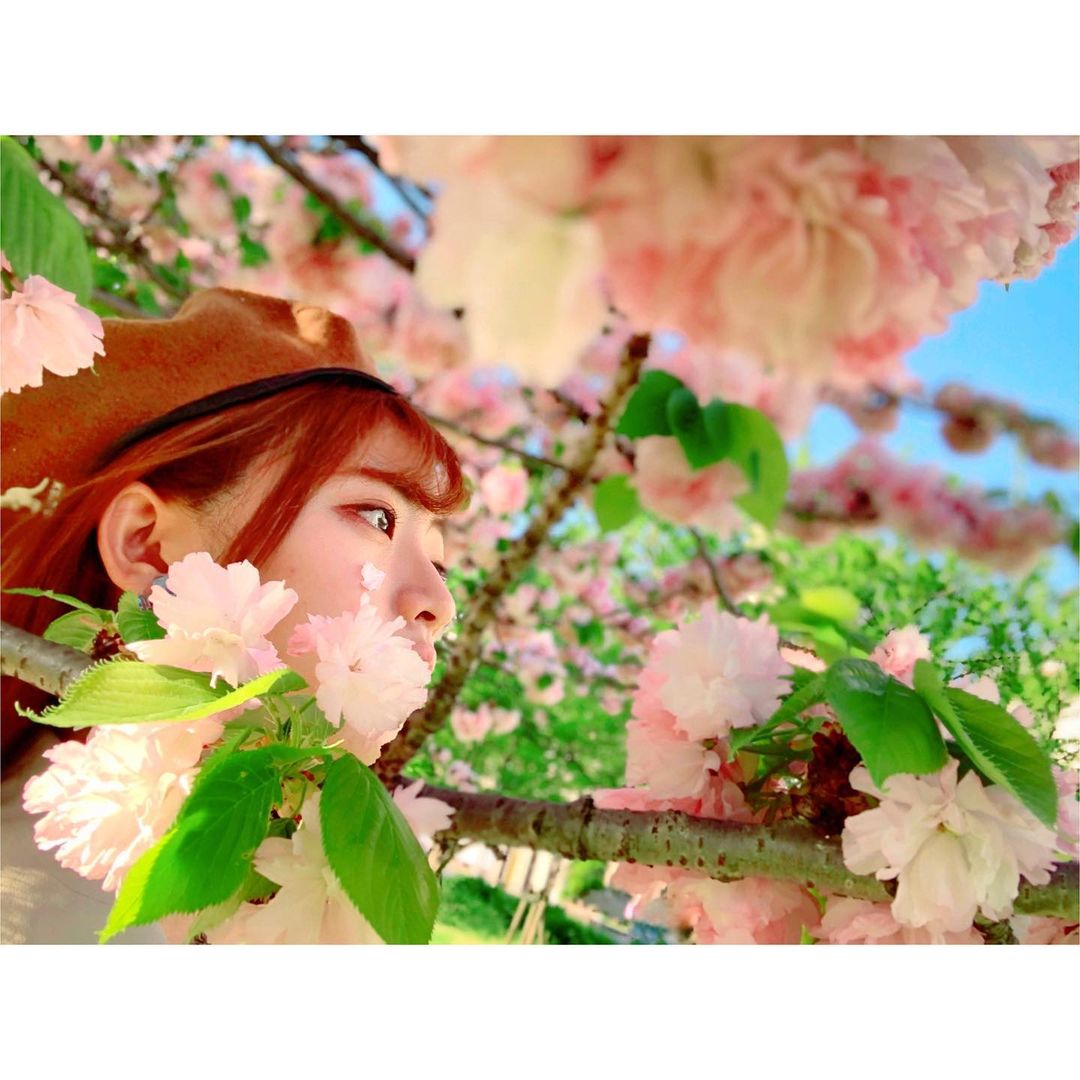 馬嘉伶 4月 春 桜 牡丹桜 一番のお気に入り写真は明日のモバイルメールで Moe Zine