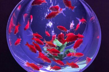 .

relaxation space...