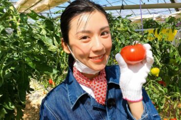 NHK「うまいッ！」
今回は愛知県のファーストトマトでした
番組を見ていたらたまらなくなって
トマトをかじりながら放送を見ました笑

記憶に残るおいしさ。

そ...