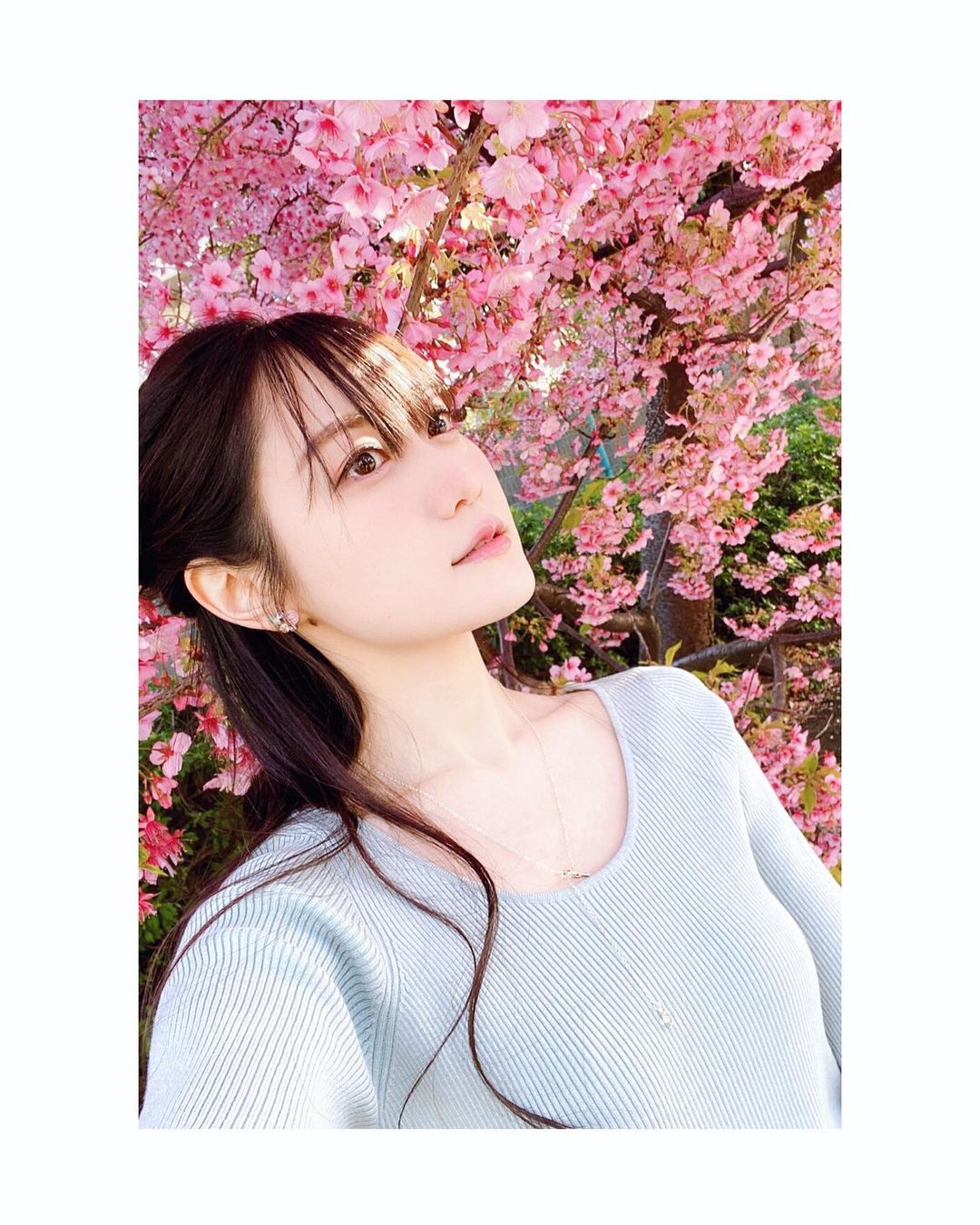 小倉唯 満開の桜と ところで お腹すいたなぁ ー 桜 Sakura Moe Zine 小倉唯 満開の桜と ところで お腹すいたなぁ ー 桜 Sakura Moe Zine