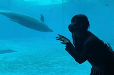 ひなたも泳ぎたい〜〜

.
.
.
.
.
.
.
.
.
.
.
.
.
.
.
.
.
.
.
.
.
.
.
.
.
.
.
.
.
.
#下関 #下関水...