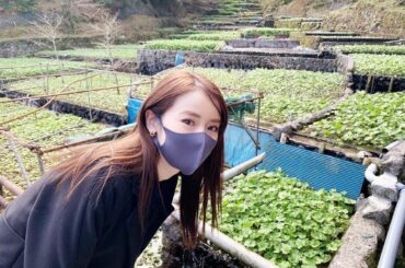 ロケでわさび農園にお邪魔しました。
すごく綺麗だった〜！
わさび田の棚田が広がる景色を眺めては癒されていました。
この景色は、来週放送の高嶺のハナさん3話で登場...