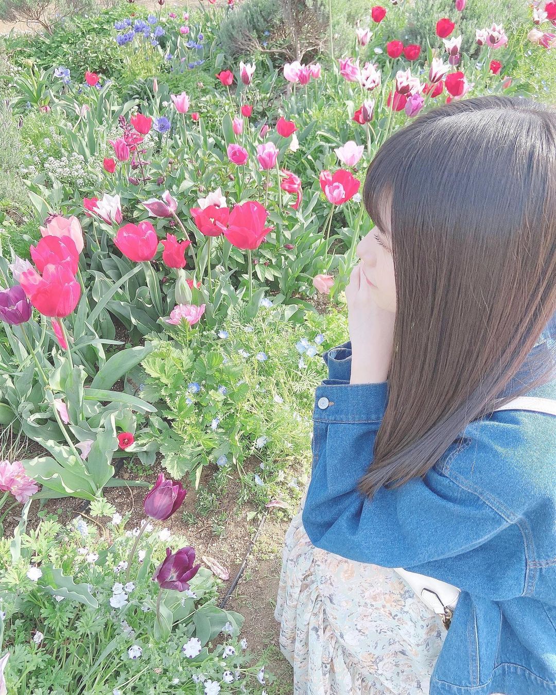 千葉恵里 みなとみらいのお花畑 お花の種類がたくさんで 可愛かった Moe Zine