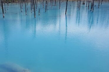ㅤㅤㅤㅤㅤㅤㅤㅤㅤㅤㅤㅤㅤ
小旅行。
ㅤㅤㅤㅤㅤㅤㅤㅤㅤㅤㅤㅤㅤ
『北の国から』の聖地まわりと美しい池や滝を見てきました
ㅤㅤㅤㅤㅤㅤㅤㅤㅤㅤㅤㅤㅤ
#富良野 ...