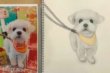 .
初ぽんころ完成
嬉しい。ぽんを描いてるのが嬉しい。。
私なりのぽんらしさを出すのが楽しかったです
上手になりたいのでまだまだ頑張りまーす
.
#絵画#デッサ...