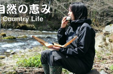 【田舎の日常】畑仕事と山菜採り。