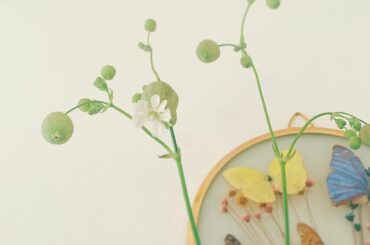 いつかの。
ぽんぽん。...