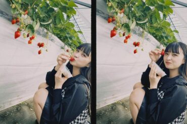 .

.

.

.

.

.

.

.
#フィルムカメラ #dazzカメラ #いちご狩り #福岡旅行...