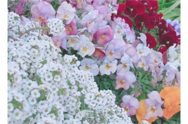 ㅤㅤㅤㅤㅤㅤㅤㅤㅤㅤㅤㅤㅤㅤㅤㅤㅤㅤㅤㅤㅤㅤㅤㅤㅤㅤㅤㅤㅤㅤㅤㅤㅤㅤㅤㅤㅤㅤㅤ
5月ですね
ㅤㅤㅤㅤㅤㅤㅤㅤㅤㅤㅤㅤㅤㅤㅤㅤㅤㅤㅤㅤㅤㅤㅤㅤㅤㅤㅤㅤㅤㅤㅤㅤㅤㅤ...