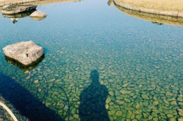 「せかくら」、地方での長期撮影のためお休みさせていただいております。直美さんがNYに発たれ新体制になった矢先でとても歯痒くもどかしいですが、、番組の皆様のご厚意...